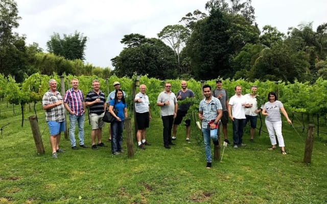 Full Day Mount Tamborine Winery Tour from Brisbane