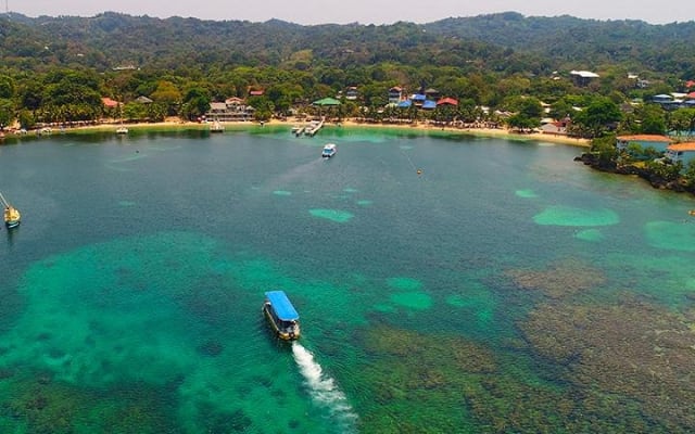 Glass Bottom Boat, Sloth, Monkey Park, Chocolate Factory & West Bay Beach