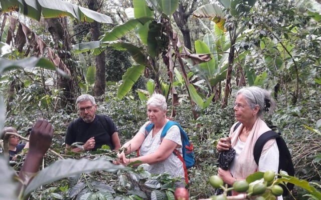 Materuni Waterfalls & Coffee Tour