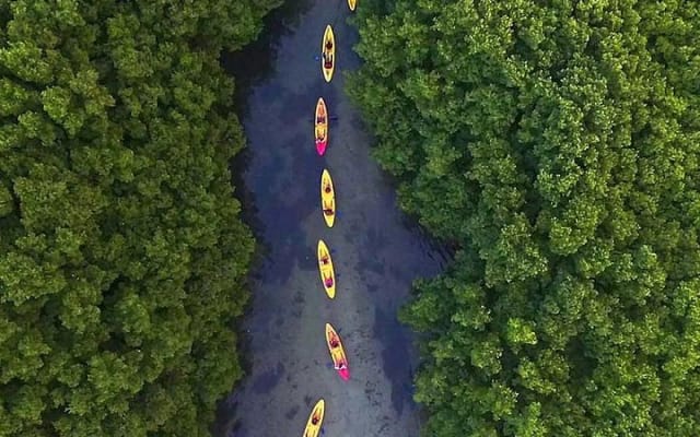 San Juan: El Yunque Rainforest and Bio Bay Combo Tour