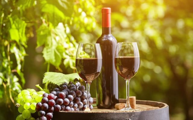Wine Tasting Tour