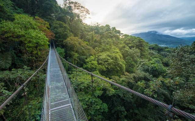 Arenal Hanging Bridges Hiking Private Tour