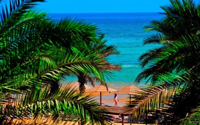 Red sea Day Trip