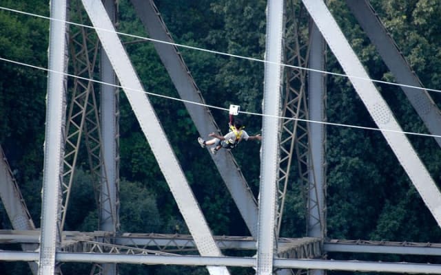 Flying Fox