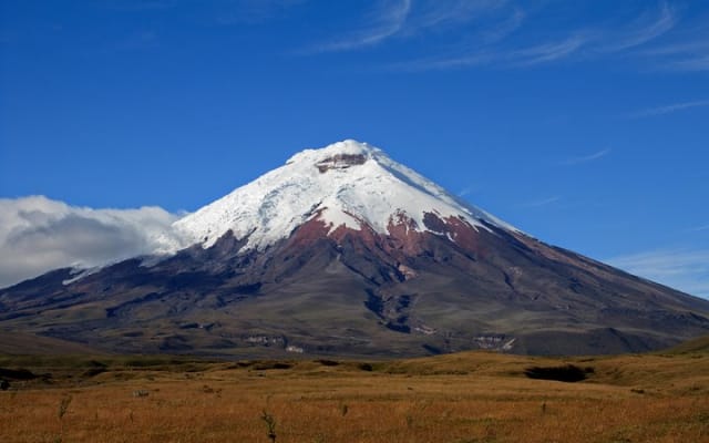 Cotopaxi National Park Full Day Private Tour