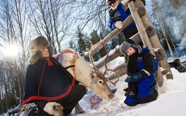 In Pursuit of Reindeer - Snowmobile safari to reindeer farm in Rovaniemi