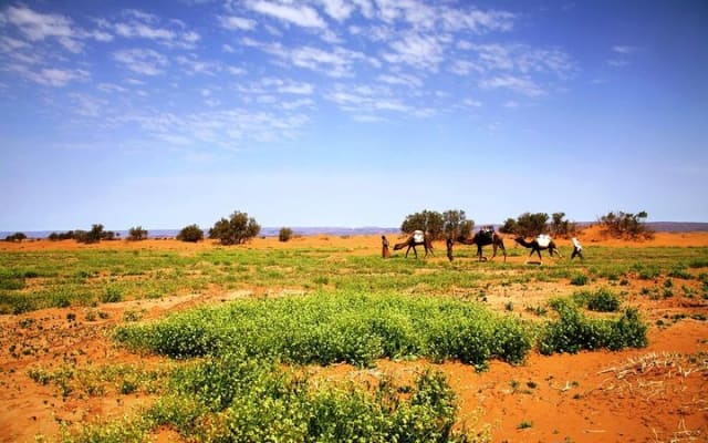 Erg Chigaga Desert Experience 3 days 2 night From Zagora