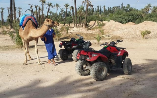 Marrakech 2 Hours Quad Camel Tour