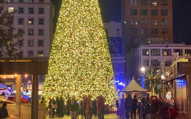 San Francisco Holiday Lights - Small Group Private Tour