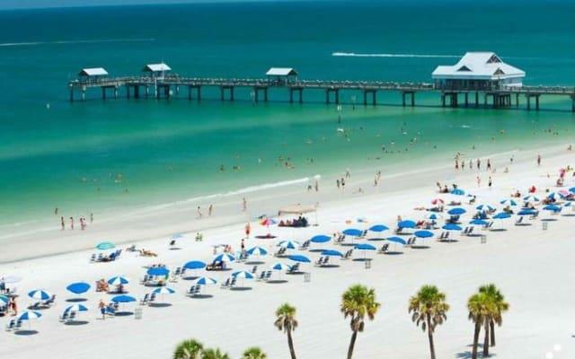 The Legacy of Winter the Dolphin & Clearwater Beach day, optional lunch