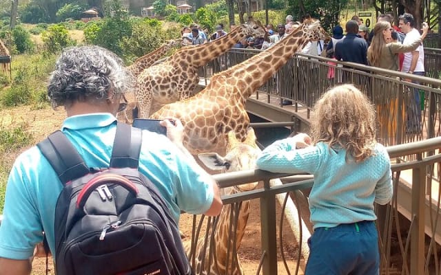 Private Tour in Giraffe Centre and Bomas of Kenya