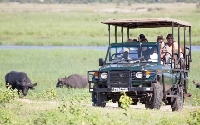 Victoria Falls: Chobe National Park Day Trip with Lunch
