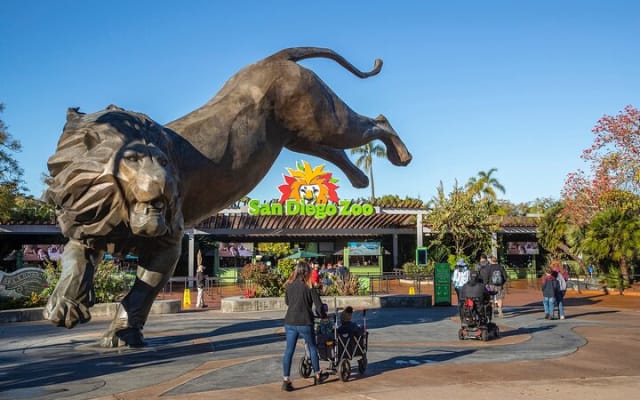 San Diego Zoo 1-Day Pass Any Day Ticket