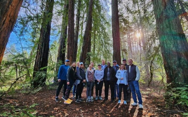 Napa Valley Redwood Hike