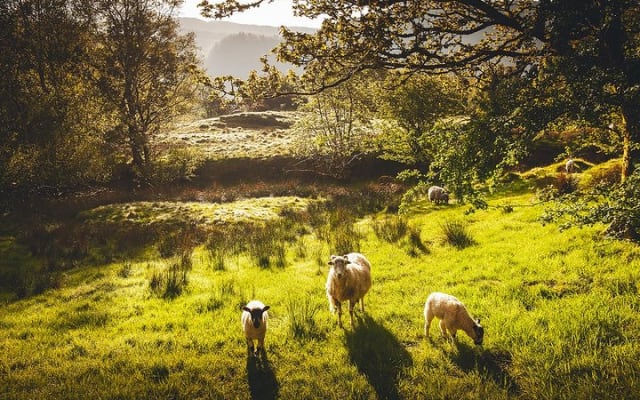 Windermere & Lake District Tour from Manchester Incl. Admission