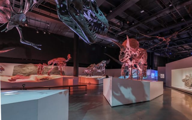 Houston Museum of Natural Science General Admission