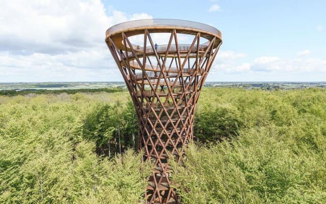 From Copenhagen: Forest Tower & Forgotten Giants Tour