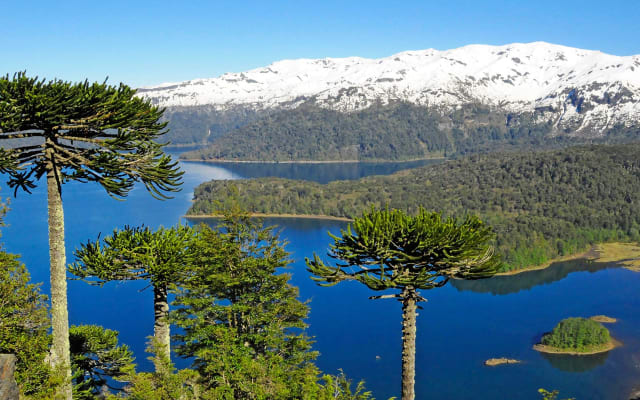 Parque Nacional Conguillío