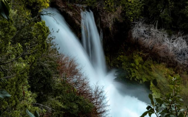 Parque Nacional Laguna del Laja