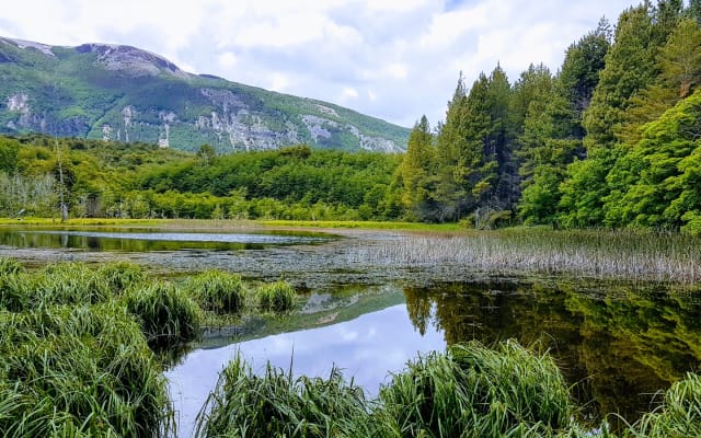 Reserva Nacional Coyhaique