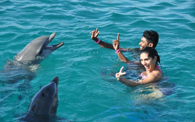 Isla Mujeres Dolphin Experience (Cancun, MX)