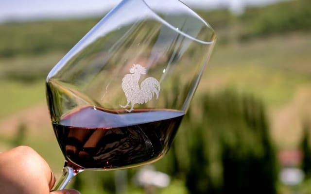 Florence to Chianti Lunch and Wine Experience