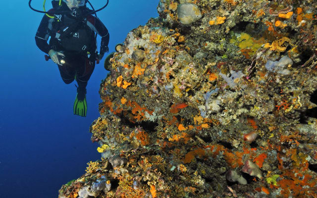 5 days / 10 Rib boat dives