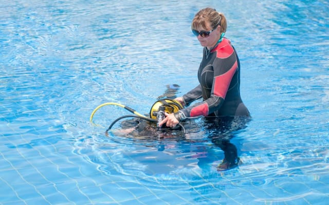 PADI Open Water Diver Course