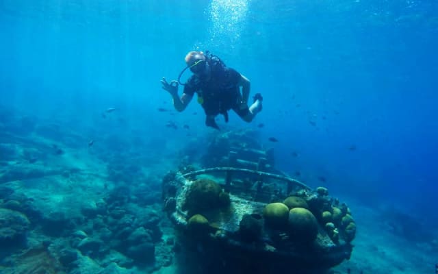 2Tank Guided Shore Dive