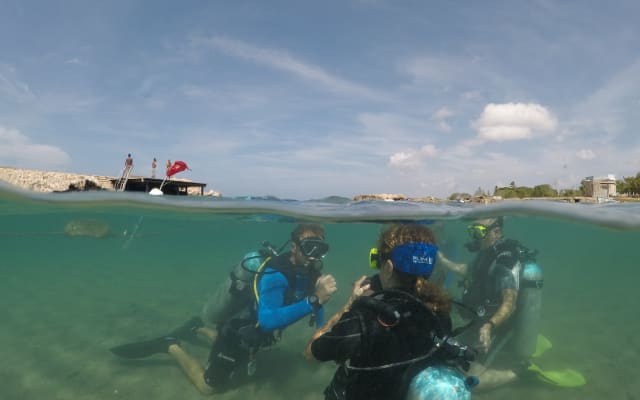 Discover Scuba Diving - AM