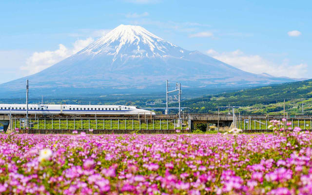 Mt. Fuji Famous Food Tour (Day Trip from Tokyo)