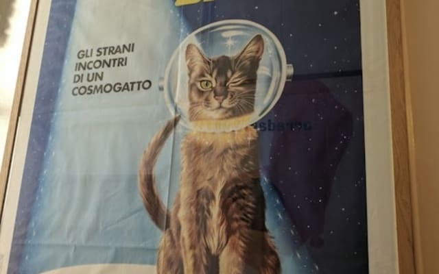 The Cat Cabinet: Entry Ticket