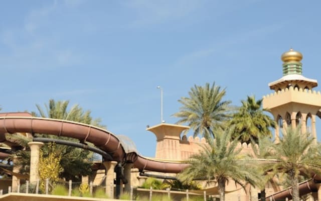 Wild Wadi Waterpark: Entry Ticket