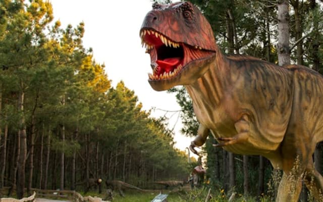 Dino Parque Lourinhã: Entry Ticket