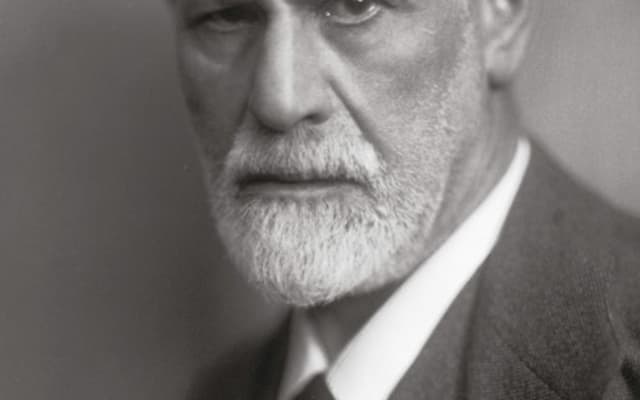 Sigmund Freud Museum: Entry Ticket