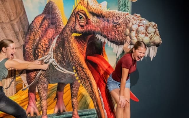 3D TrickArt Museum Berlin: Entry Ticket