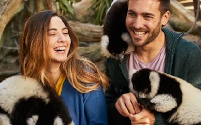 Mundomar Benidorm: Skip The Line Ticket