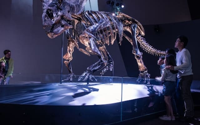 Melbourne Museum: Entry Ticket