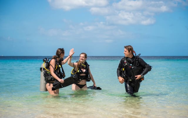 PADI Open Water Diver Course (eLearning )