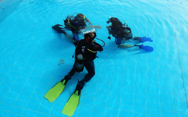 Open Water Diver