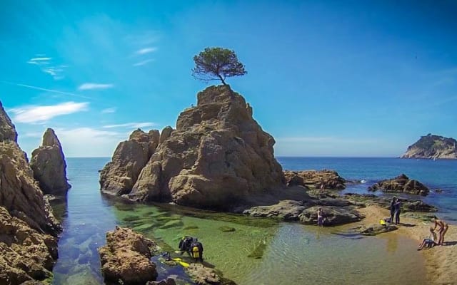 Half-Day Snorkelling Trip