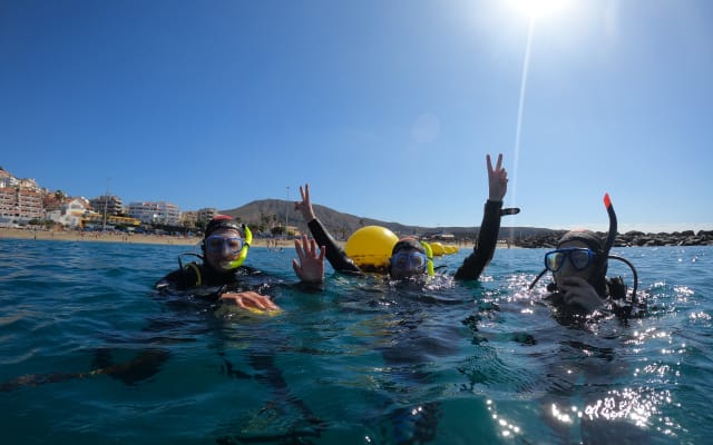 Half-Day Snorkelling Trip
