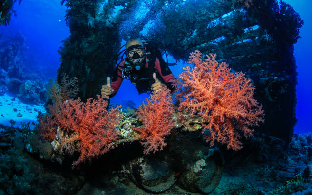 Zodiac dive early morning