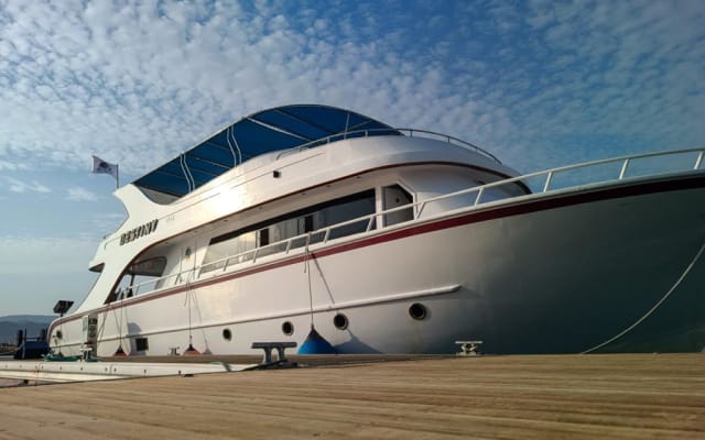 Half-Day Boat Snorkelling Trip