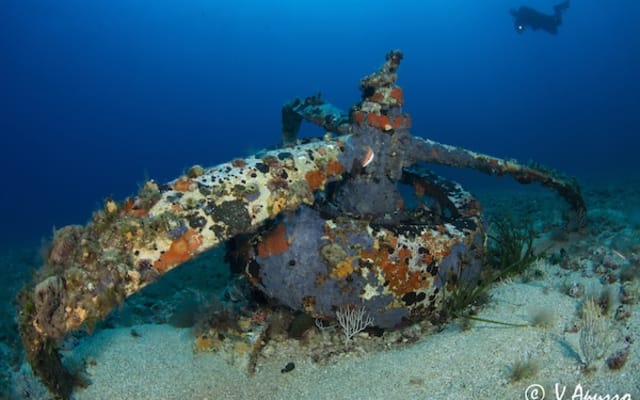 6 Dives Package