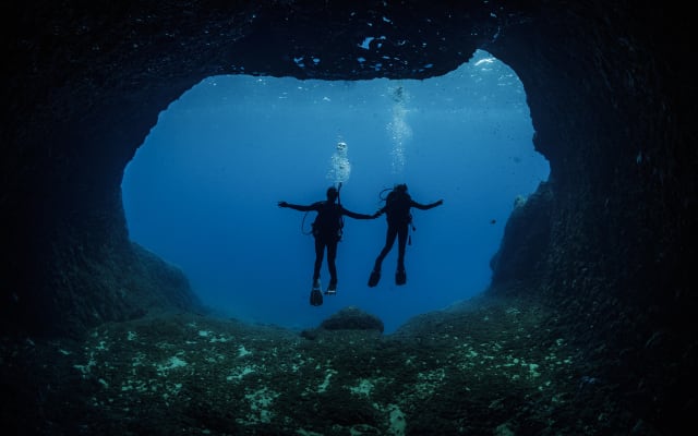 Half-Day Dive Trip