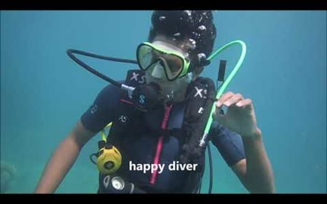 PADI Open Water Diver