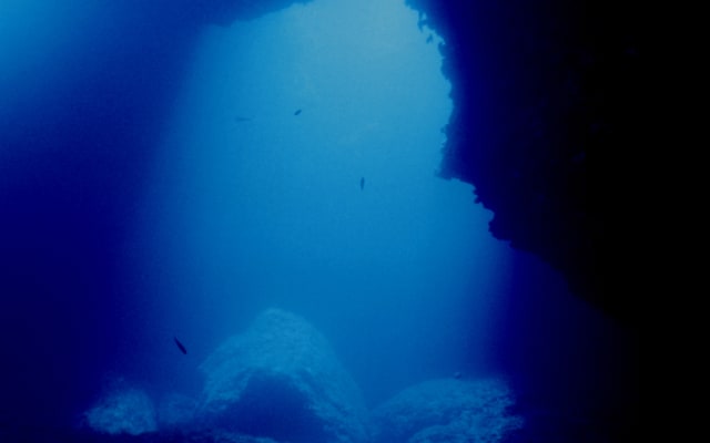 Half-Day Dive Trip