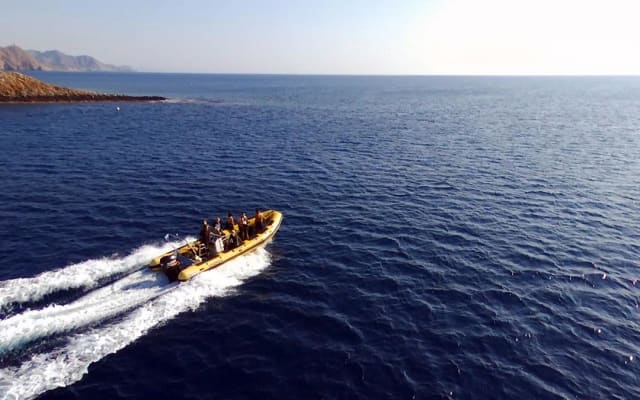 Half-day diving trip in Cabo de Gata National Park