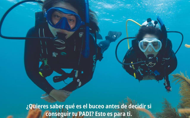 PADI Discover Scuba Diving